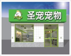 保定高碑店白溝寵物店