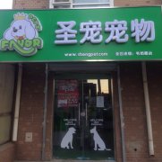 北京海淀毛紡路寵物店開業優惠