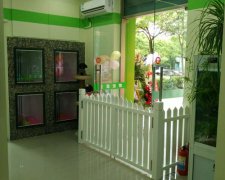圣寵寵物上海東繡路店 打造當(dāng)?shù)氐谝黄放频?/>
				</a>
			</p>
            <p style=