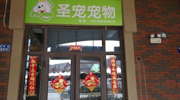 慶祝圣寵寵物（蘭州市碧桂園店）盛大開業(yè)