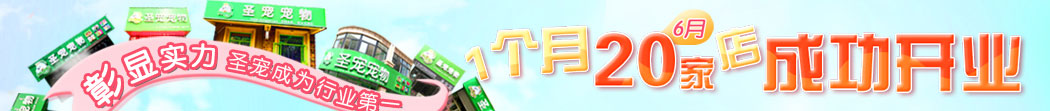 @,ʥ120ҵɹ_I