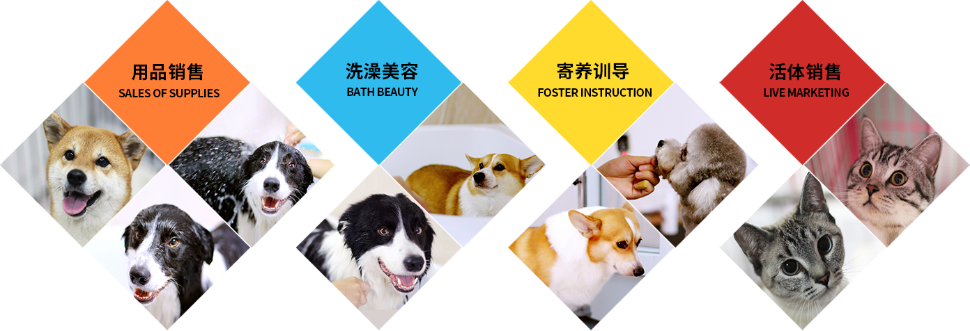 這是描述信息 這是描述信息
