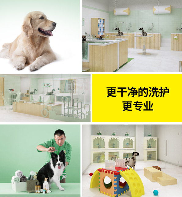  圣寵寵物