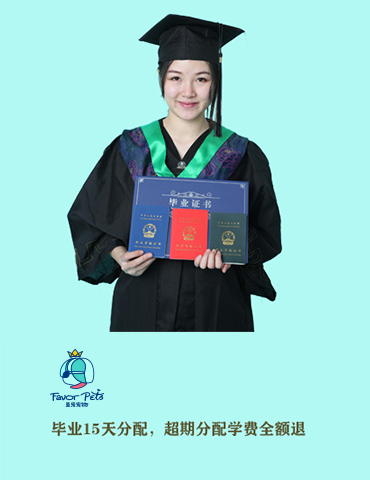這是描述信息 這是描述信息