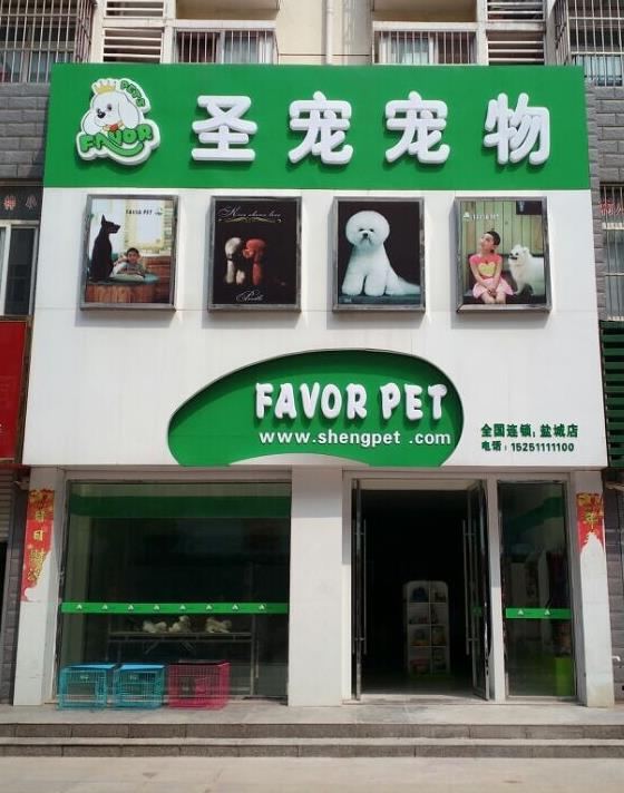 標準?? />
				  <div   id=