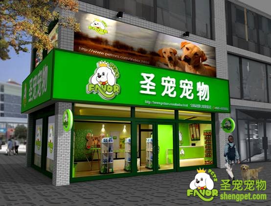 寵物店該如何裝修