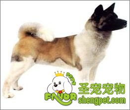 Ȯ