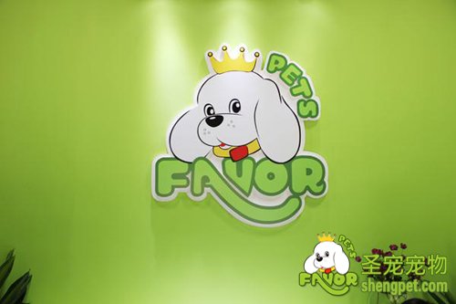 걳