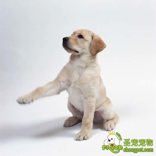 30犃ȸ㶨İĹ