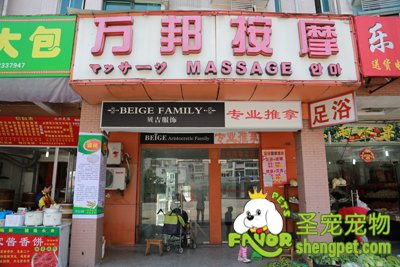 圣寵寵物總部幫加盟商選好的寵物店店面
