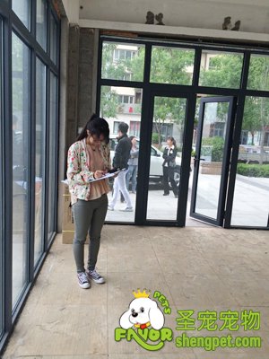圣寵寵物連鎖派人對選好的寵物店進行裝修設計測量
