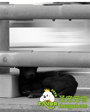 һlſڸo߅3첻Բ ՈˁJI(lng)