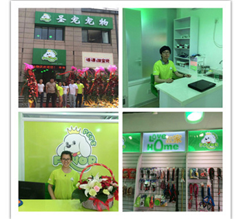 江蘇無錫圣寵寵物醫(yī)療店(江蘇無錫店)正式開業(yè)
