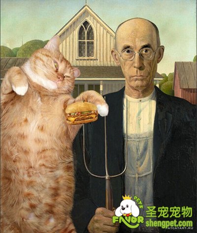 ˇg(sh)Ҍ؈PM(jn)(hu)