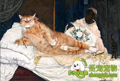 ˇg(sh)Ҍ؈PM(jn)(hu)
