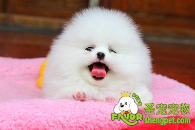 Ȯ