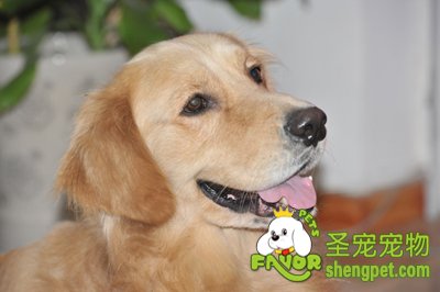 ëȮ۵A