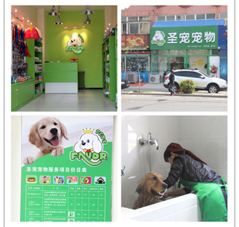 圣寵寵物店（北京昌平店）