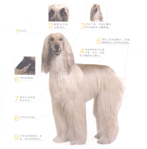 CȮ