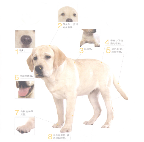 CȮ
