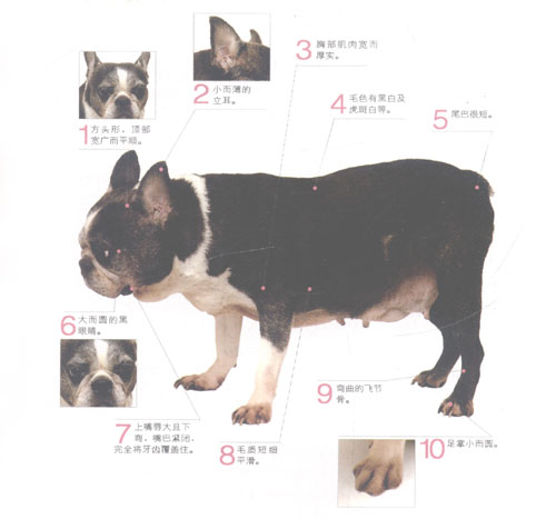 ʿDȮ