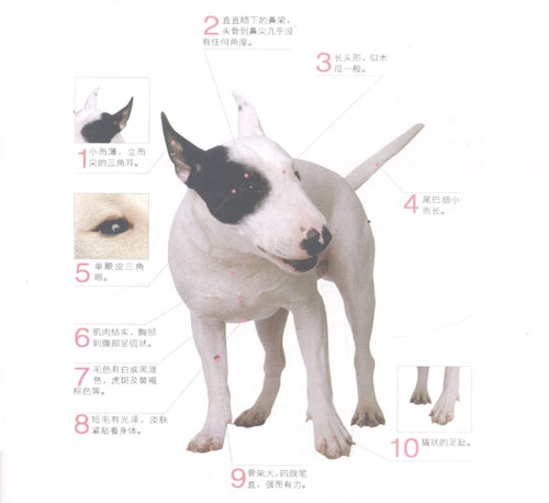 ţ^Ȯ