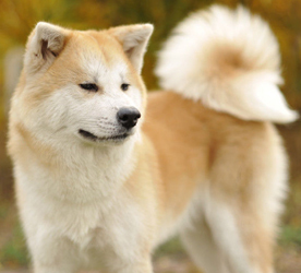 Ȯ