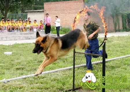 mӖ
