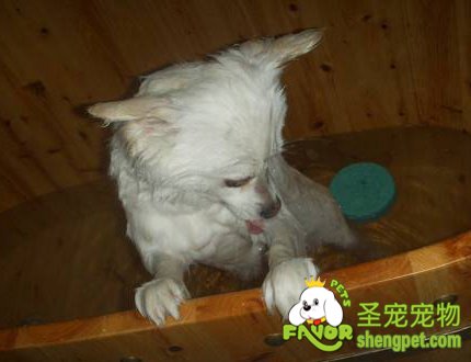 ڶϴҪעʲô