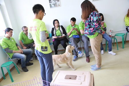 圣寵寵物技術培訓:訓犬課實操