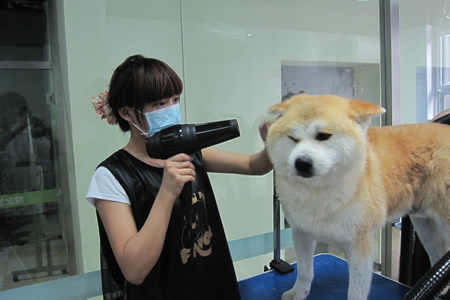 oﹷϴļ 