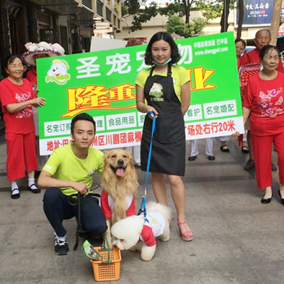 圣寵寵物巴中巴州店開業宣傳