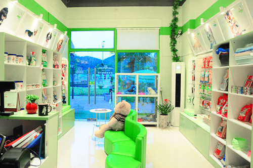 全國最美的寵物店