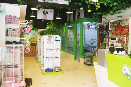 全國最美的寵物店