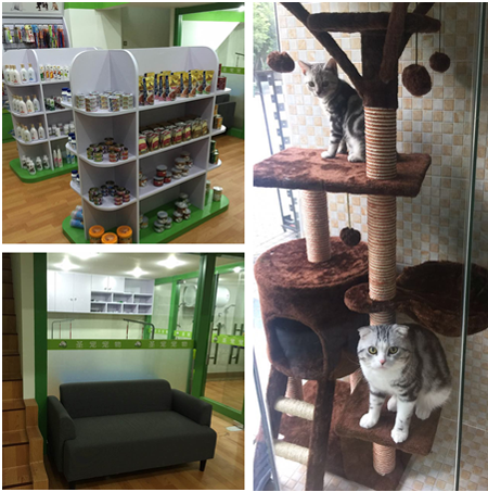 圣寵寵物重慶富悅海沁店開業現場1