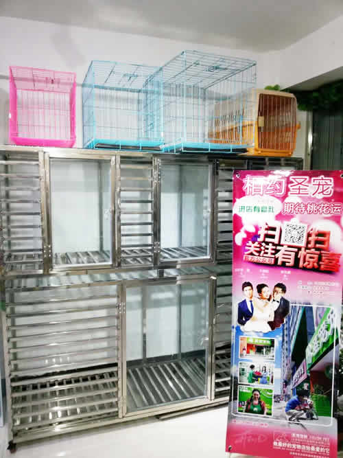 圣寵四平中華新城寵物連鎖店
