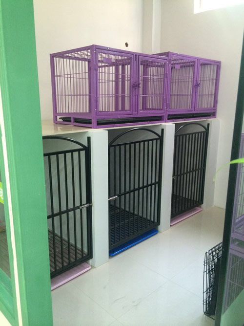 圣寵蘇州工業園區寵物店寄養區
