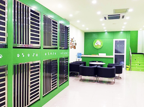 圣寵濟南領秀城店寄養活動區