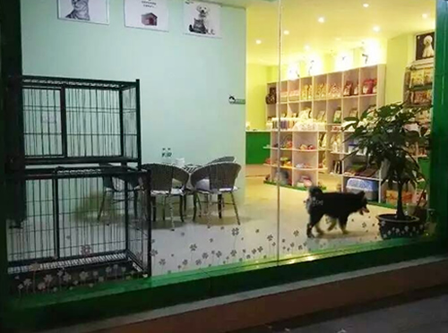 圣寵芒市花園寵物加盟店