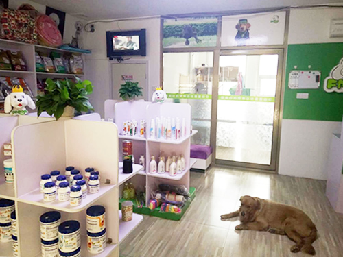 圣寵天津薊縣青山溪語寵物店