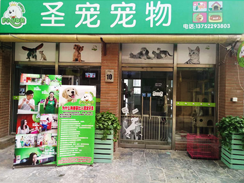 圣寵天津薊縣青山溪語寵物店