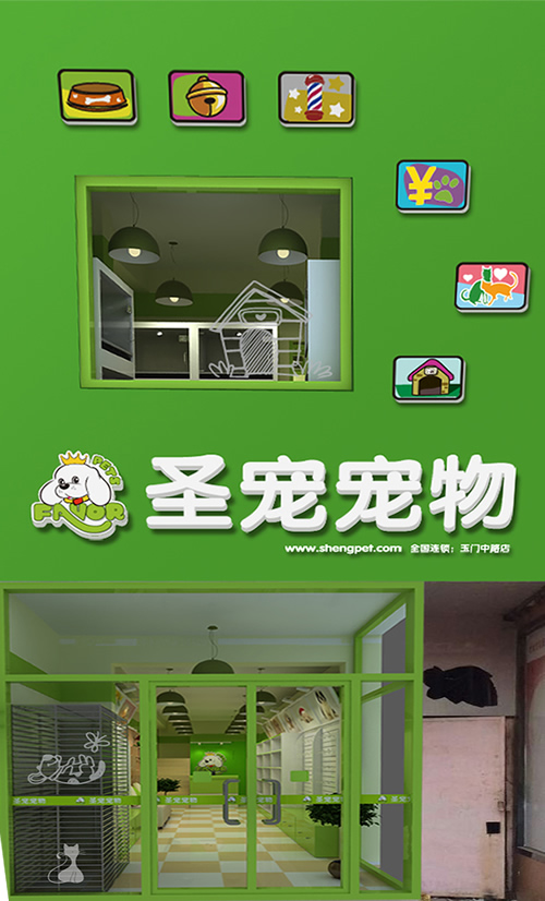 圣寵寵物河南濮陽玉門中路店裝修效果圖