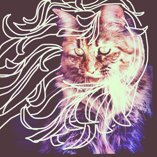 ɐ۵؈؈ϸNɫL