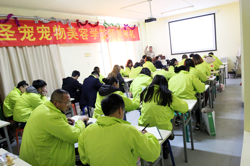 美容班35期2班犬只行為學(xué)課,授課導(dǎo)師任凱