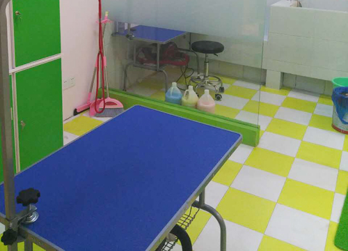 圣寵寵物店(洛陽濱河印象店)