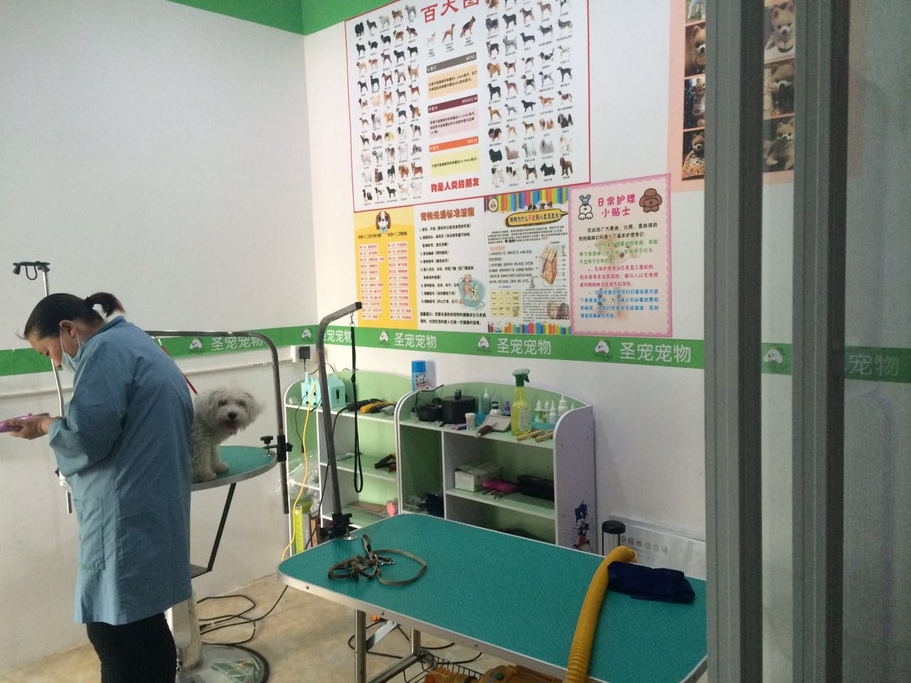 圣寵寵物店(南通裕景苑店)