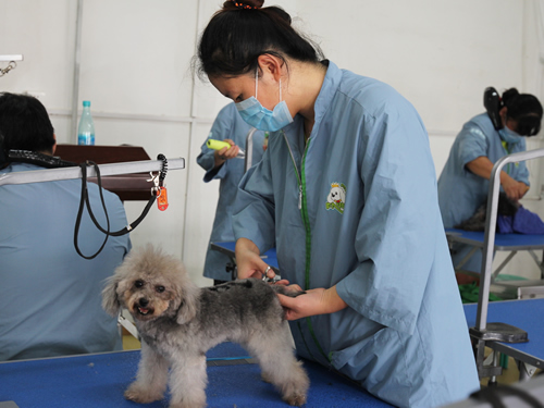 42期美容班綜合美容實操