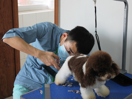 42期美容班綜合美容實操
