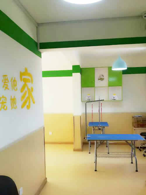 圣寵寵物天津城市名居連鎖店