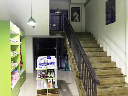 圣寵寵物南通金域廣場連鎖店